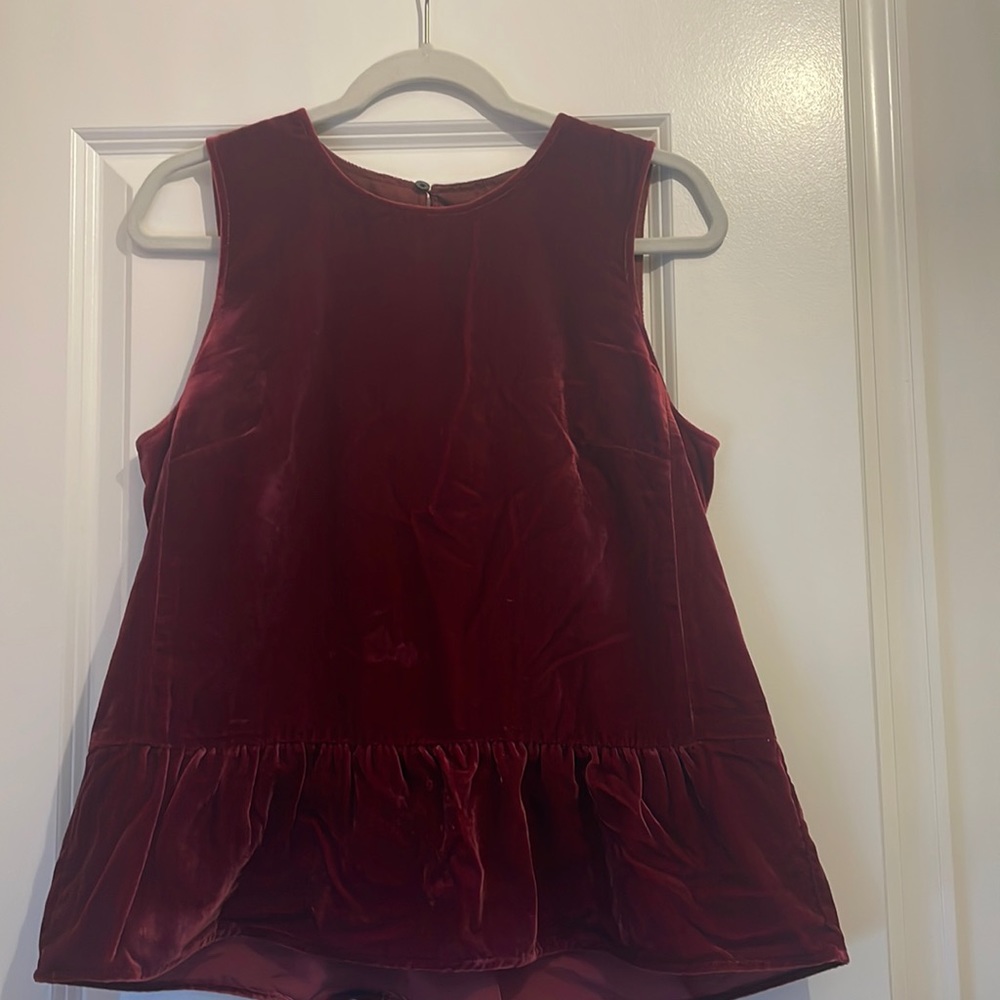 J.Crew factory maroon suede top.